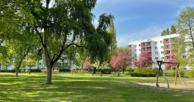 Ein grüner Innenhof mit großem Baum