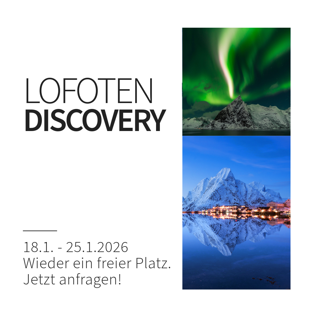 Lofoten Discovery