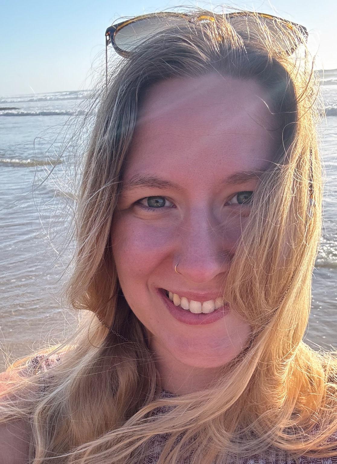 190 pixel image width