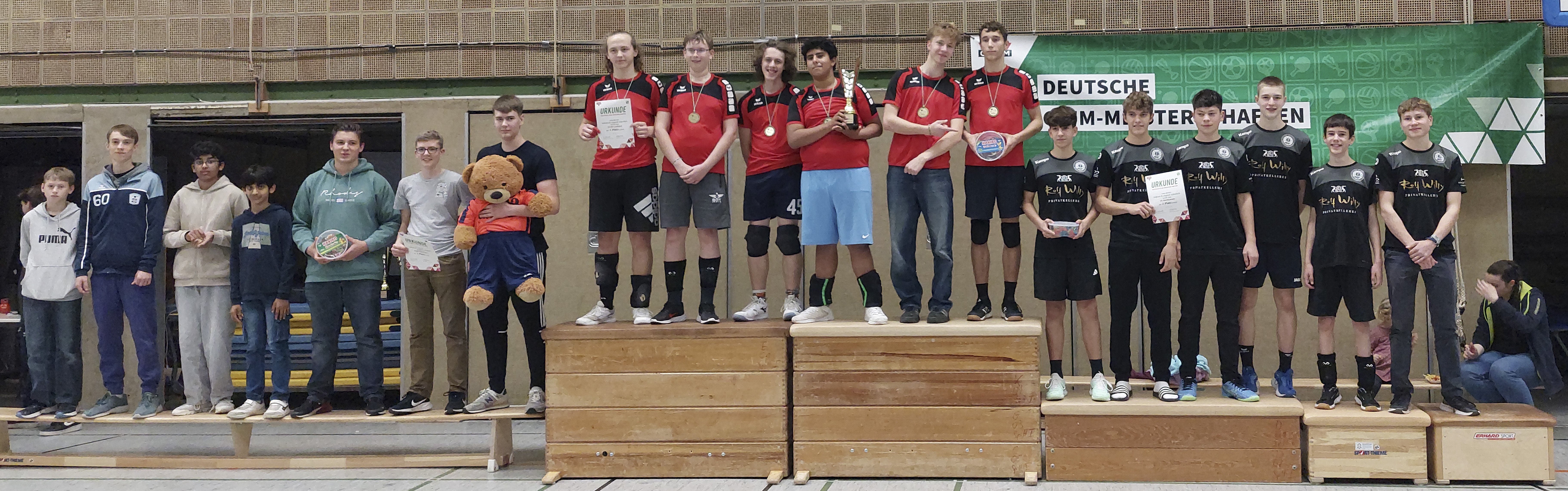 290 pixel image width