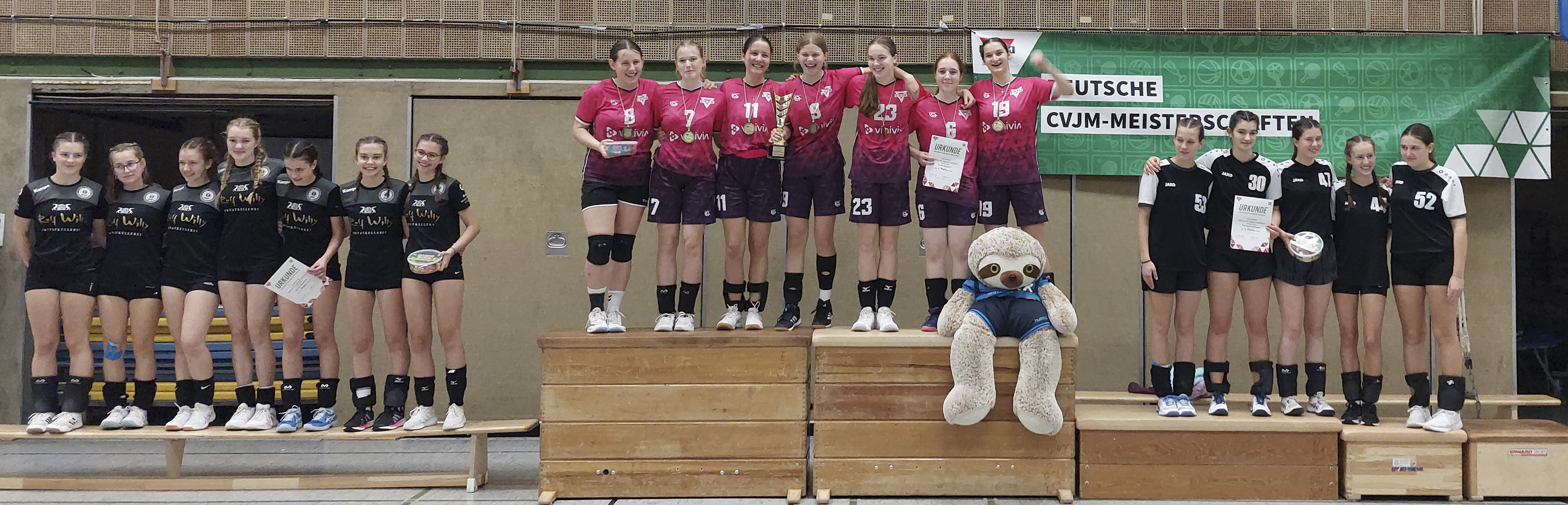 290 pixel image width