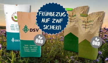 Frühbezug Zwischenfrüchte