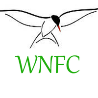 WNFC logo