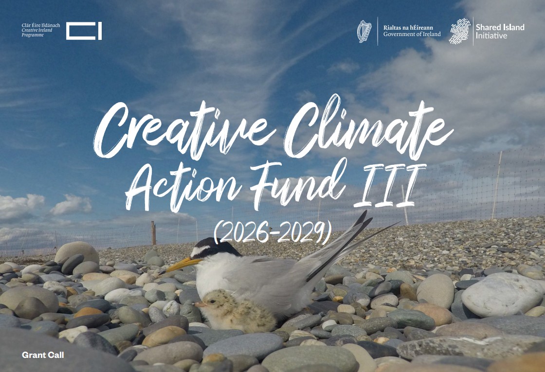 Poster with logos and an image of a seabird with its chick on a pebble beach