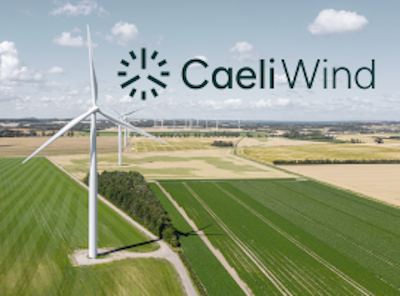 Drei Windräder im Forst