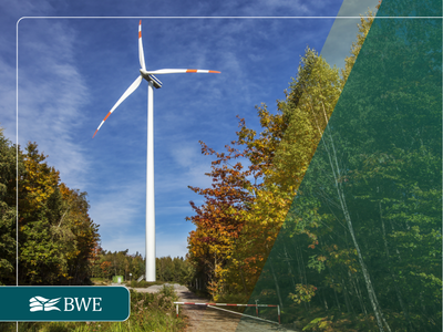 Seminar Wind im Forst