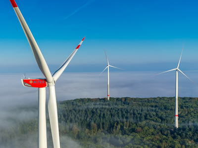 Drei Windräder im Forst