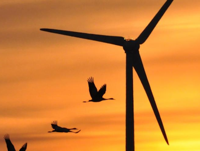 Windpark in Abendstimmung