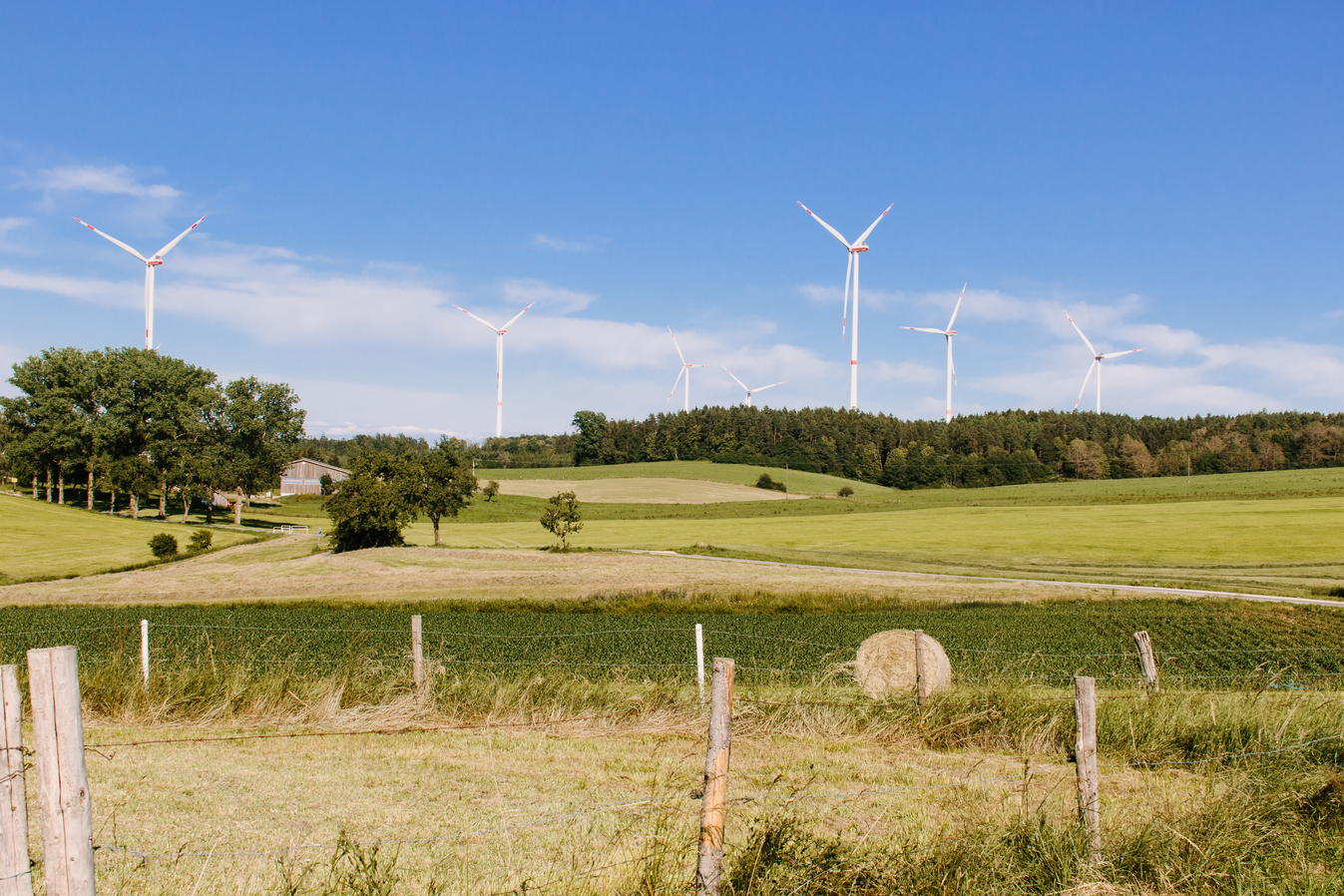 Grüne Felder mit Windpark im Hintergrund.