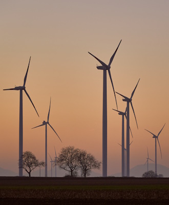 Windpark im Sonnenuntergang