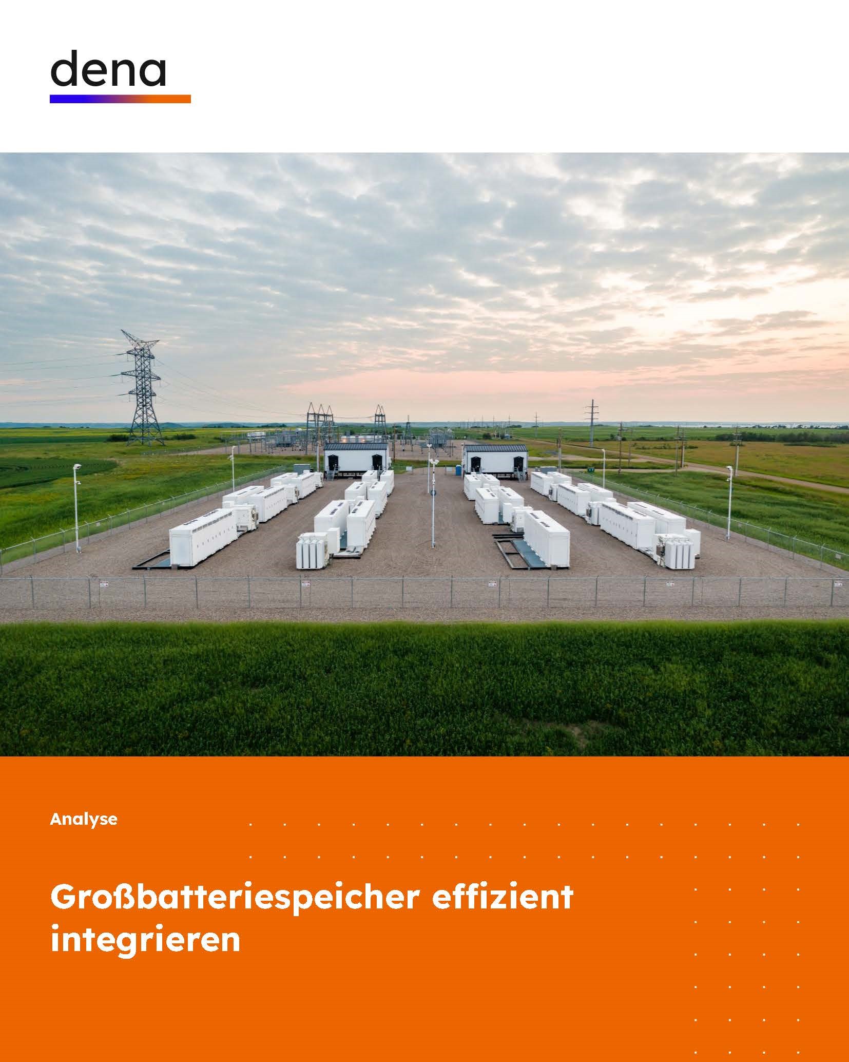 Cover Studie der dena