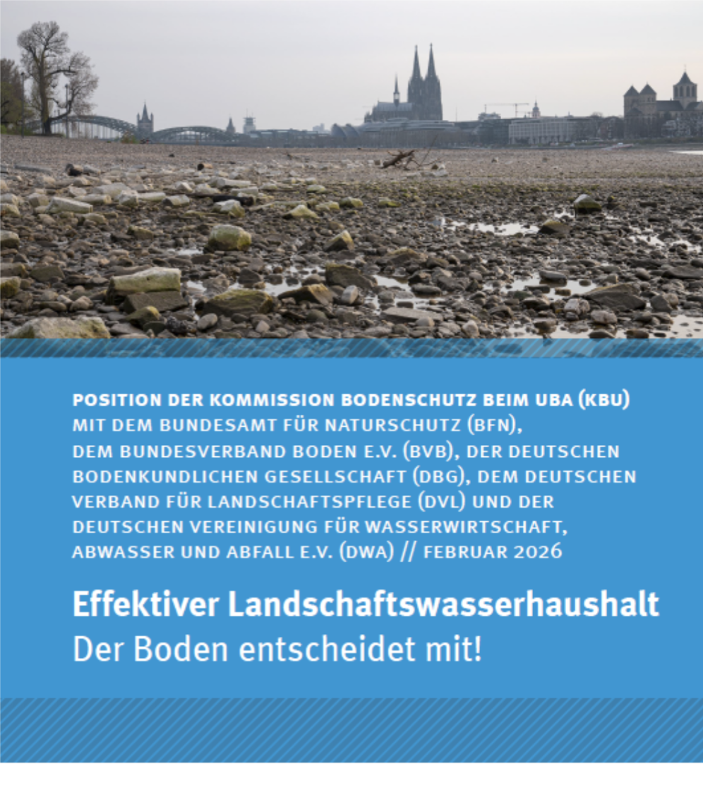 290 pixel image width