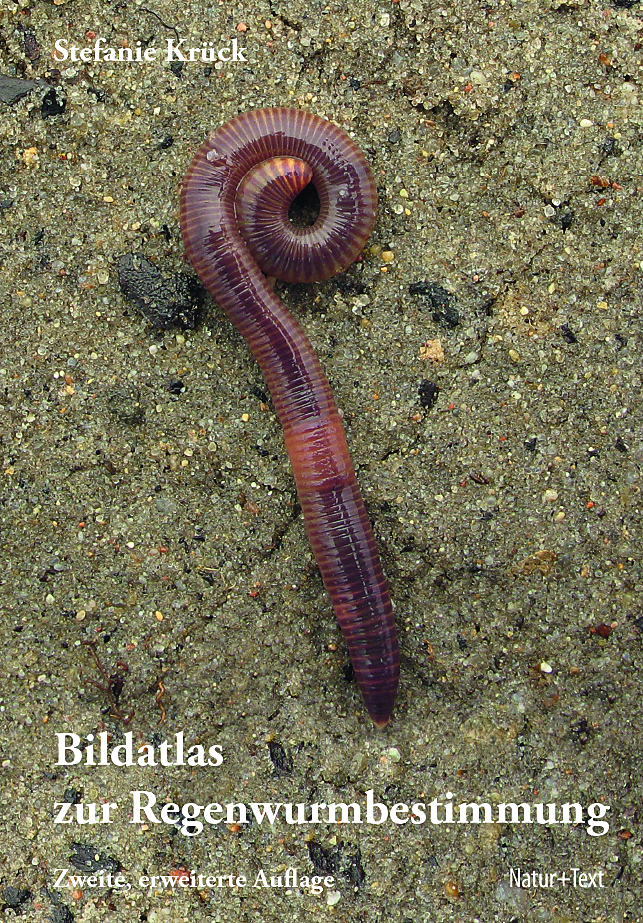 190 pixel image width