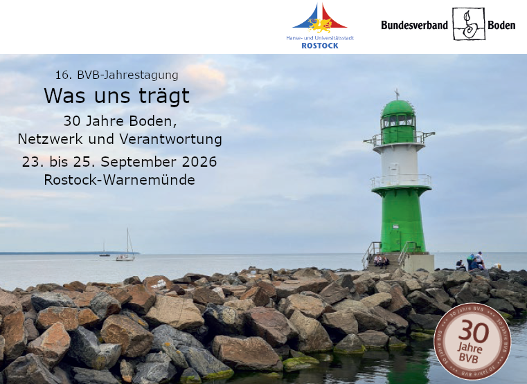 600 pixels wide image