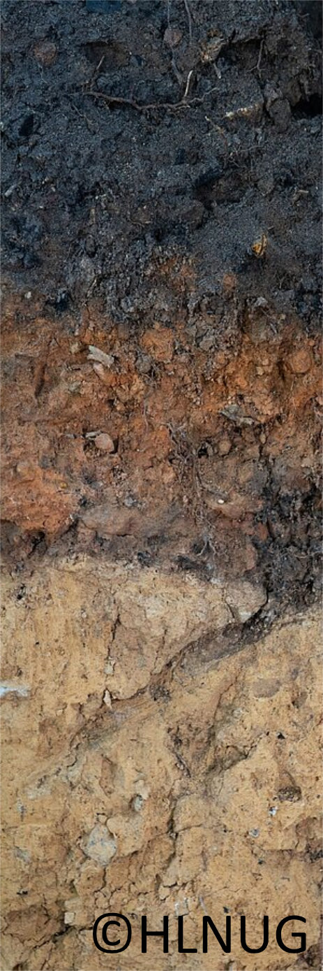 190 pixel image width