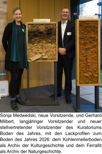 290 pixel image width