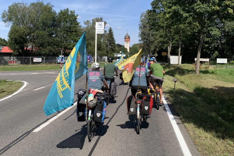 600 pixels wide image