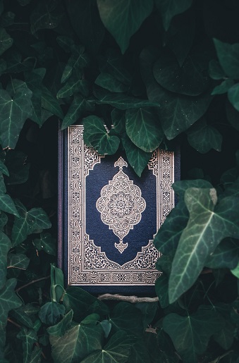 Koran im Efeu, pixabay