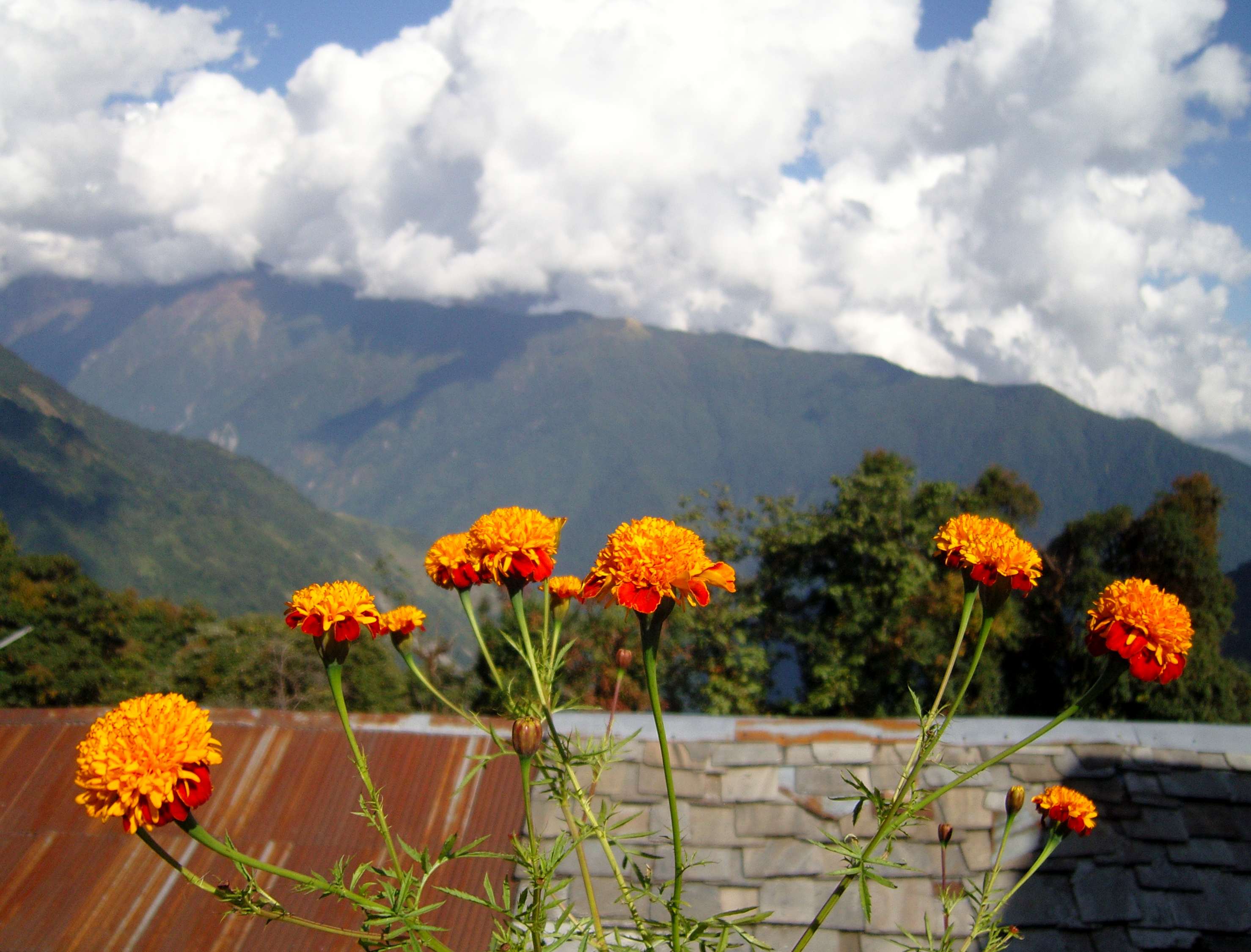 Poster Duo Stary in Wilhelmsdorf