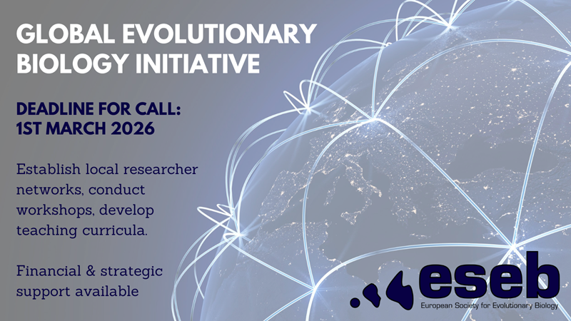 graphic GEBI call 2026