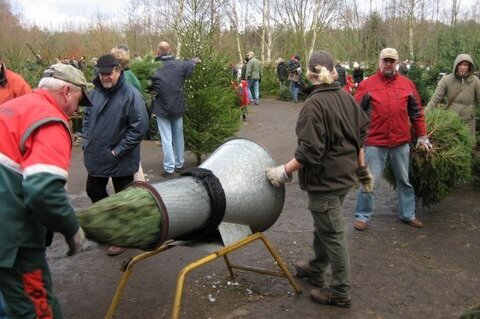 Weihnachtsbaumverkauf in der Rostocker Heide. | Foto: Roger Kähler