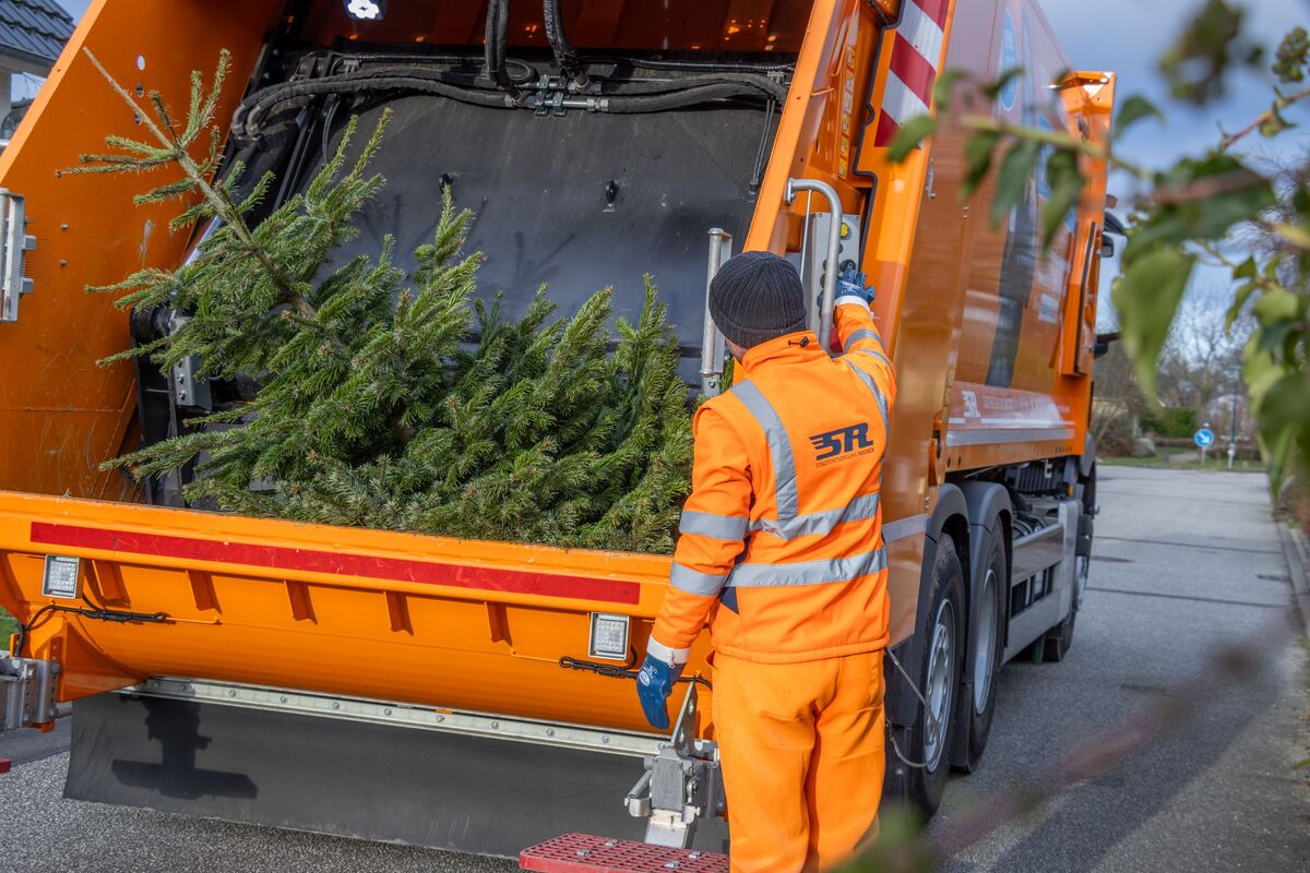 Abfuhr der ausgedienten Weihnachtsbäume | Foto: Stadtentsorgung Rostock GmbH