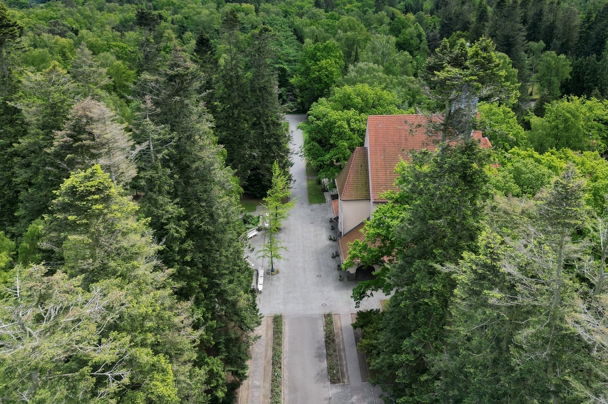 Luftbild vom Neuen Friedhof und der Trauerhalle. | Foto: Josefine Rosse
