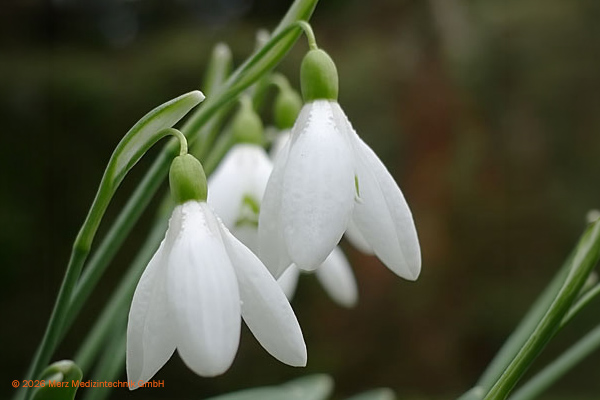 Herbstlicher Marktstand