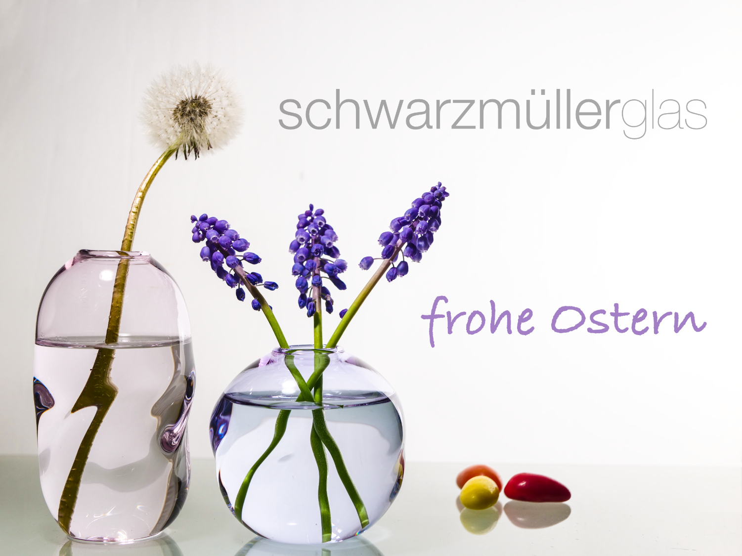 Logo Schwarzmüller Glas