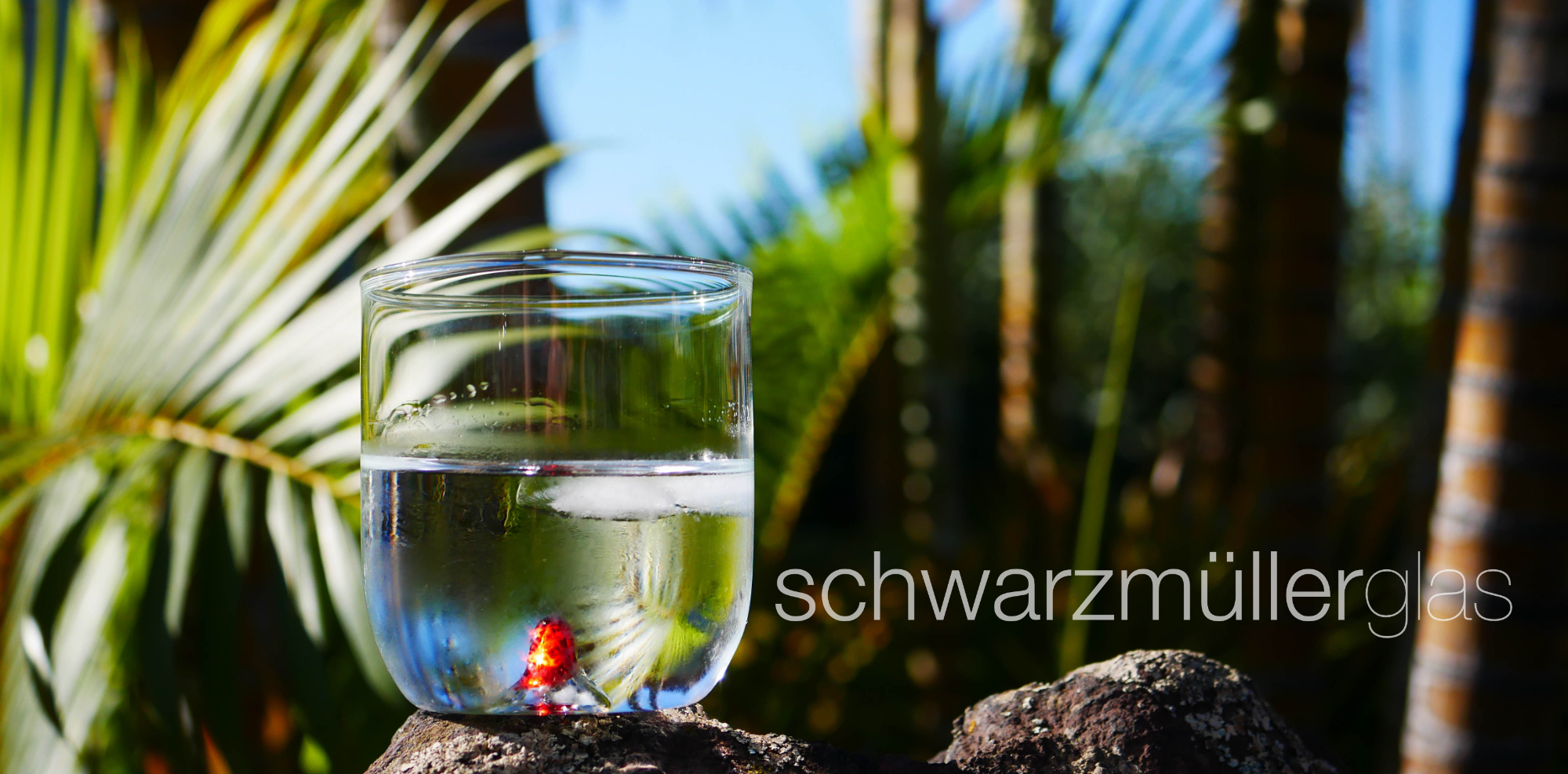 Logo Schwarzmüller Glas
