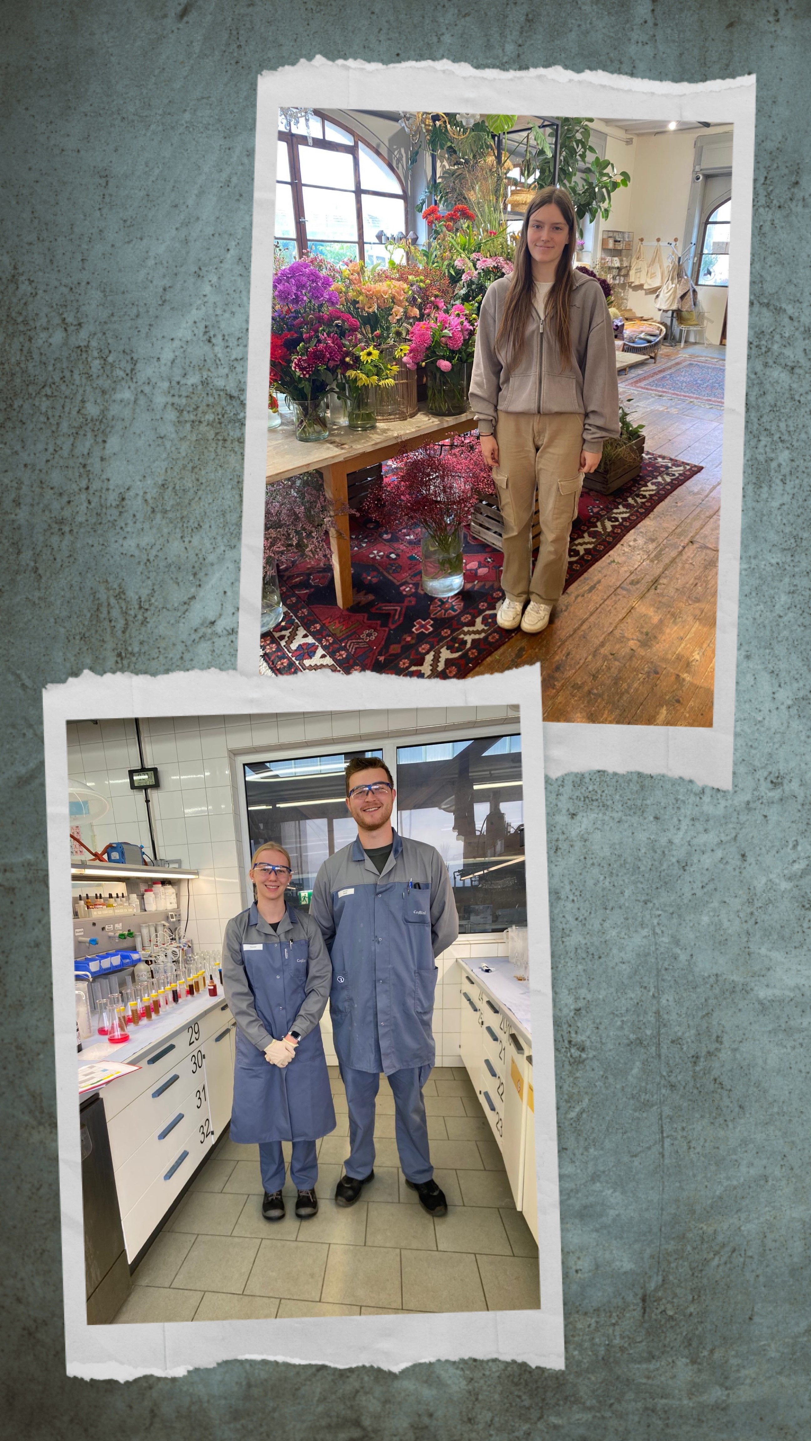 Verleihung der Zertifikation. Foto: XXXX