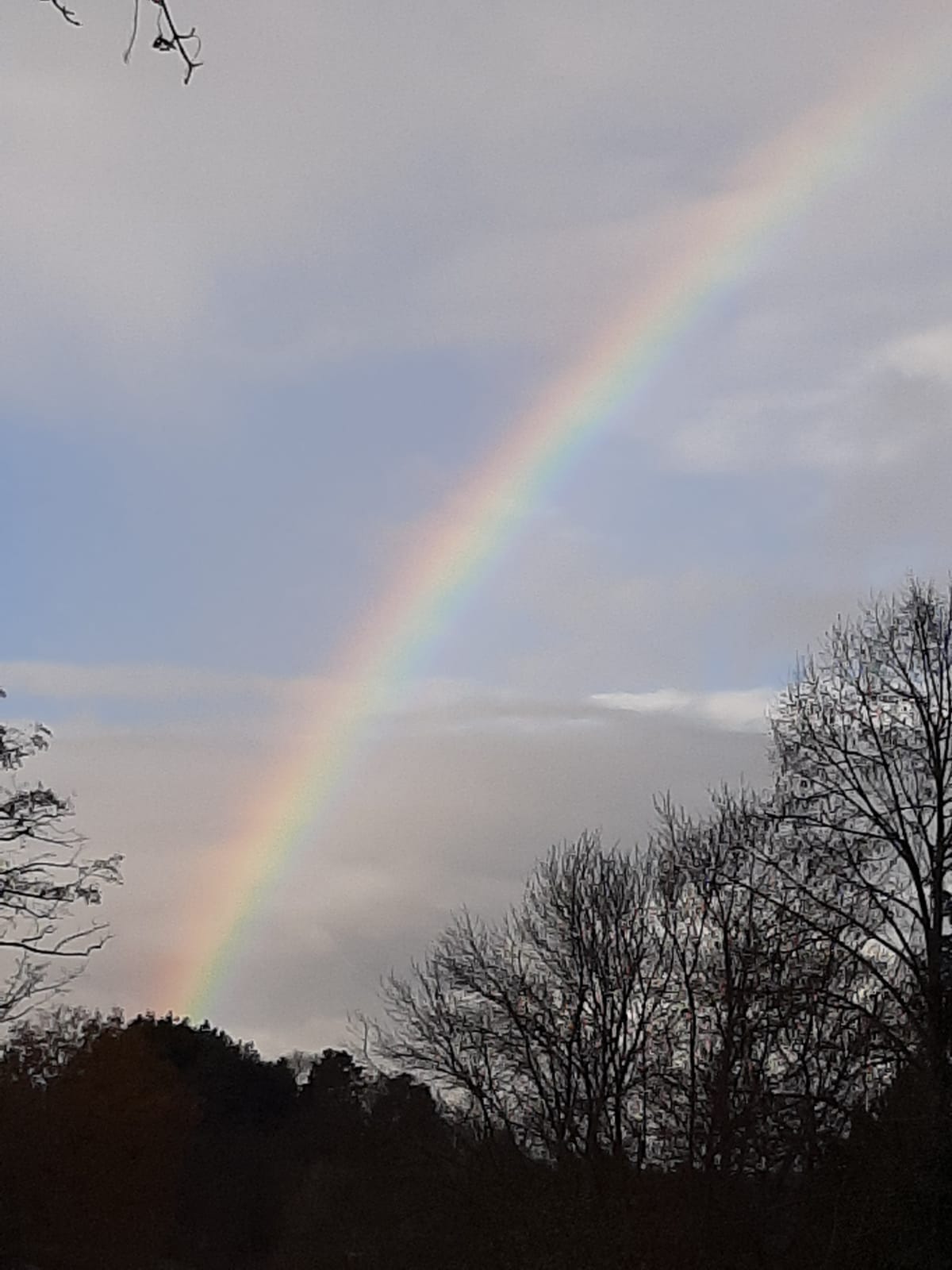 Logo von Kultur und WIR in Sindelfingen