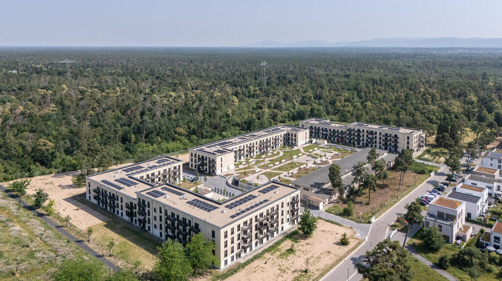 Platzhalter