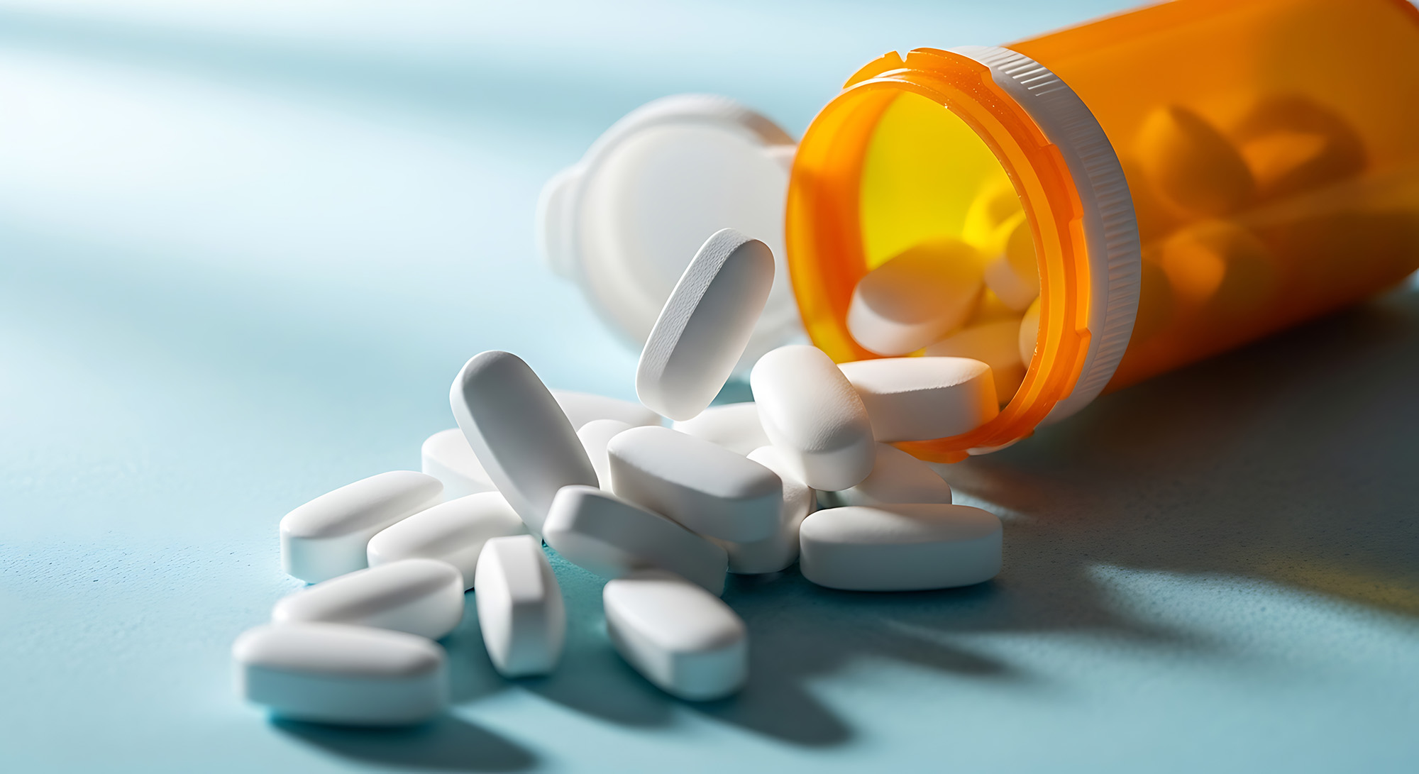 © Mary Long - stock.adobe.com 