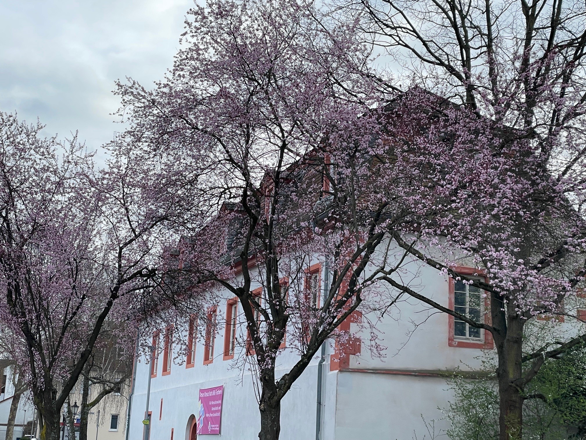 600 pixels wide image