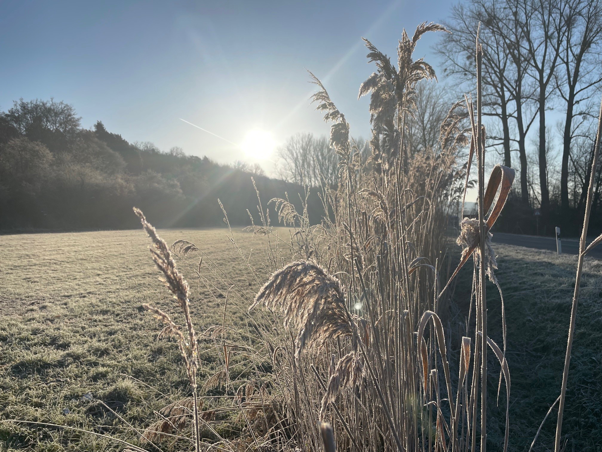 600 pixels wide image