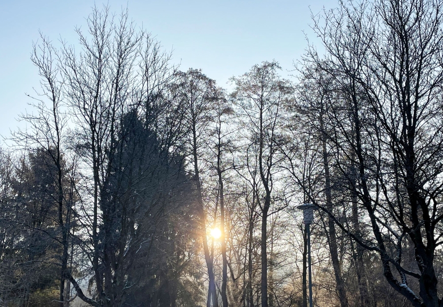 600 pixels wide image