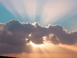 290 pixel image width