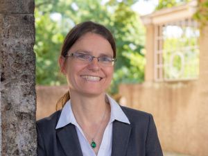 290 pixel image width