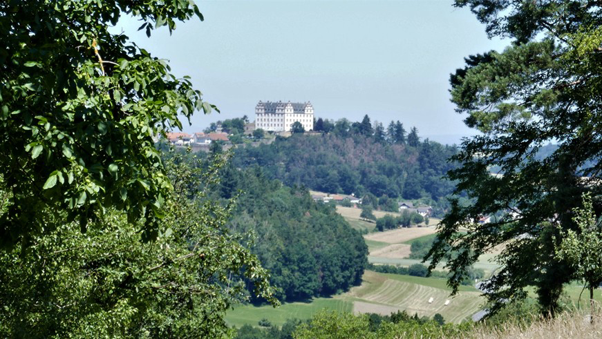 290 pixel image width