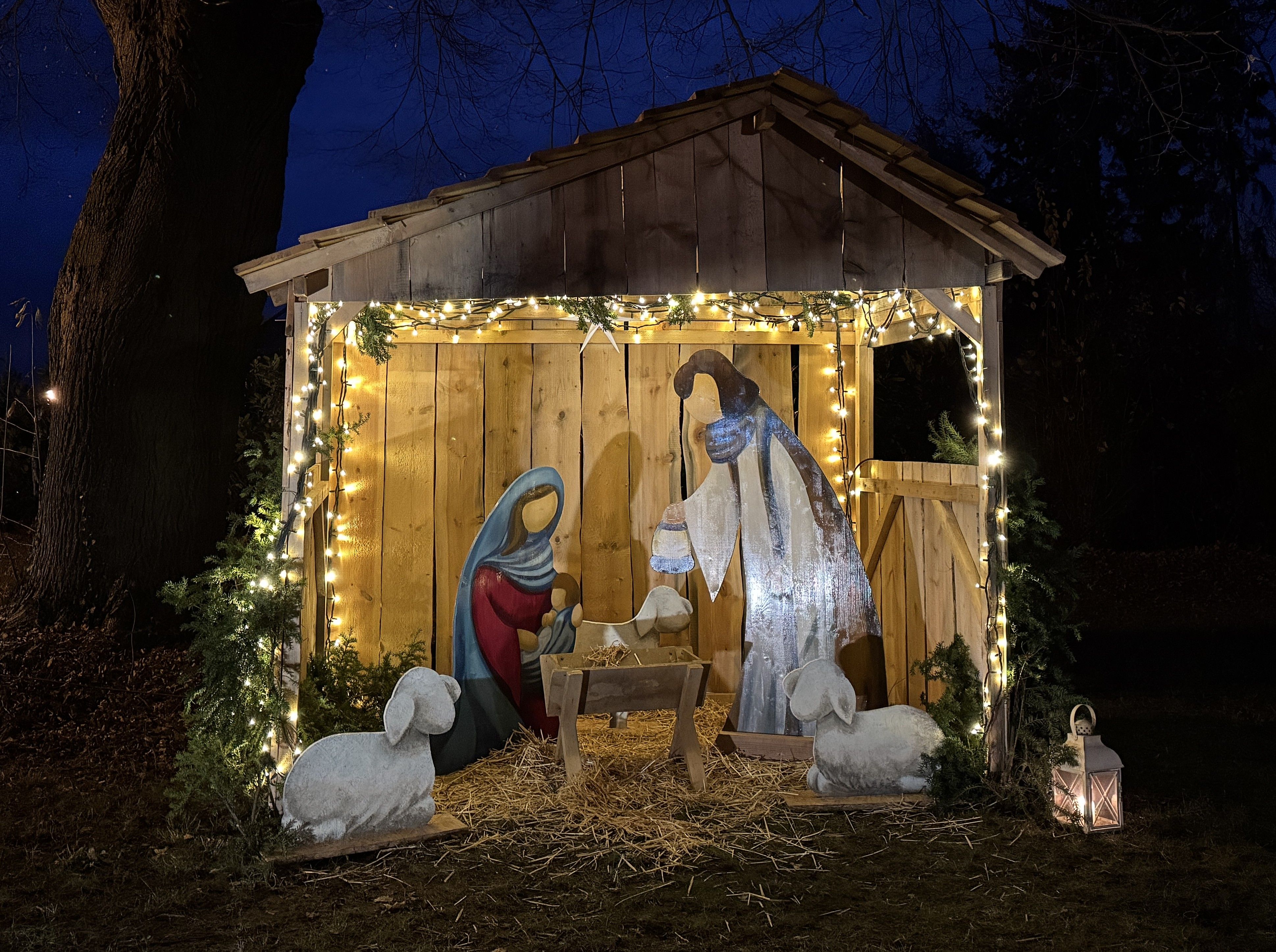 600 pixels wide image