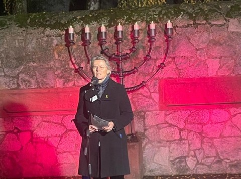 290 pixel image width