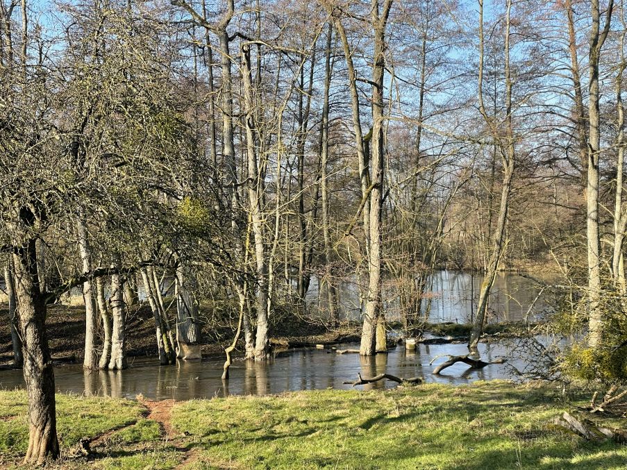 600 pixels wide image