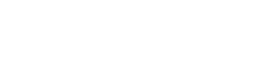 BAK Logo