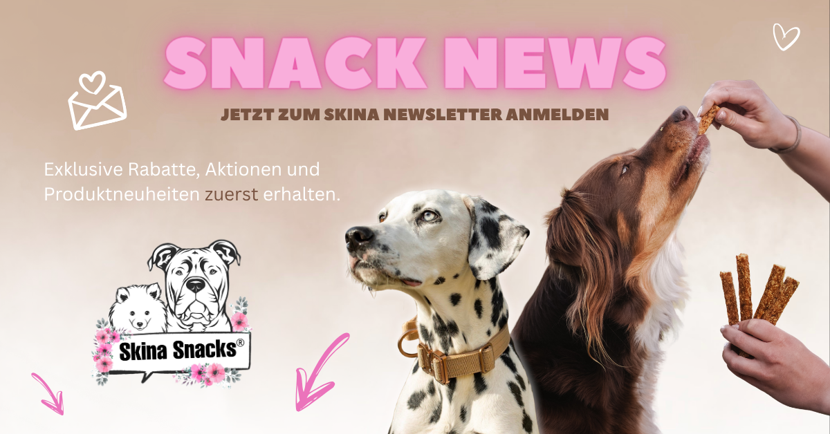 Skina-Snacks Newsletter