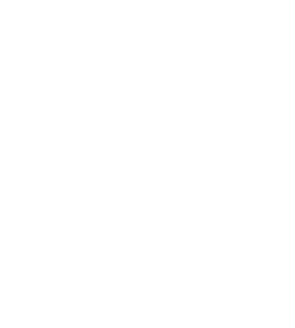 Logo Naomi Rouge