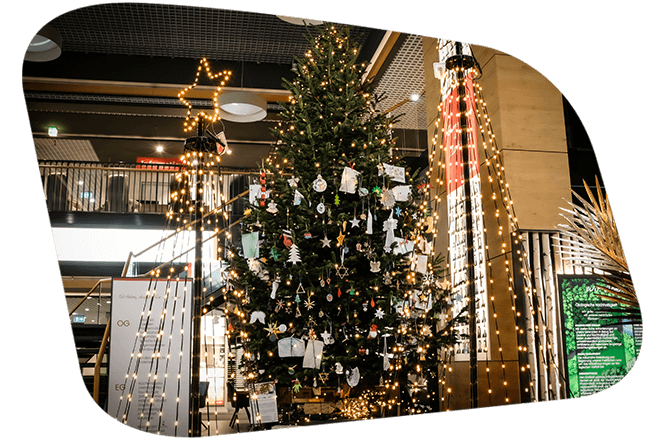 Esszimmer-Tischgruppe von Anrei in Astnuss-Massivholz