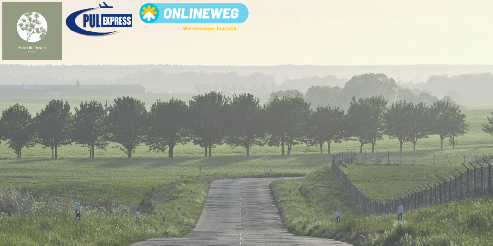 290 pixel image width