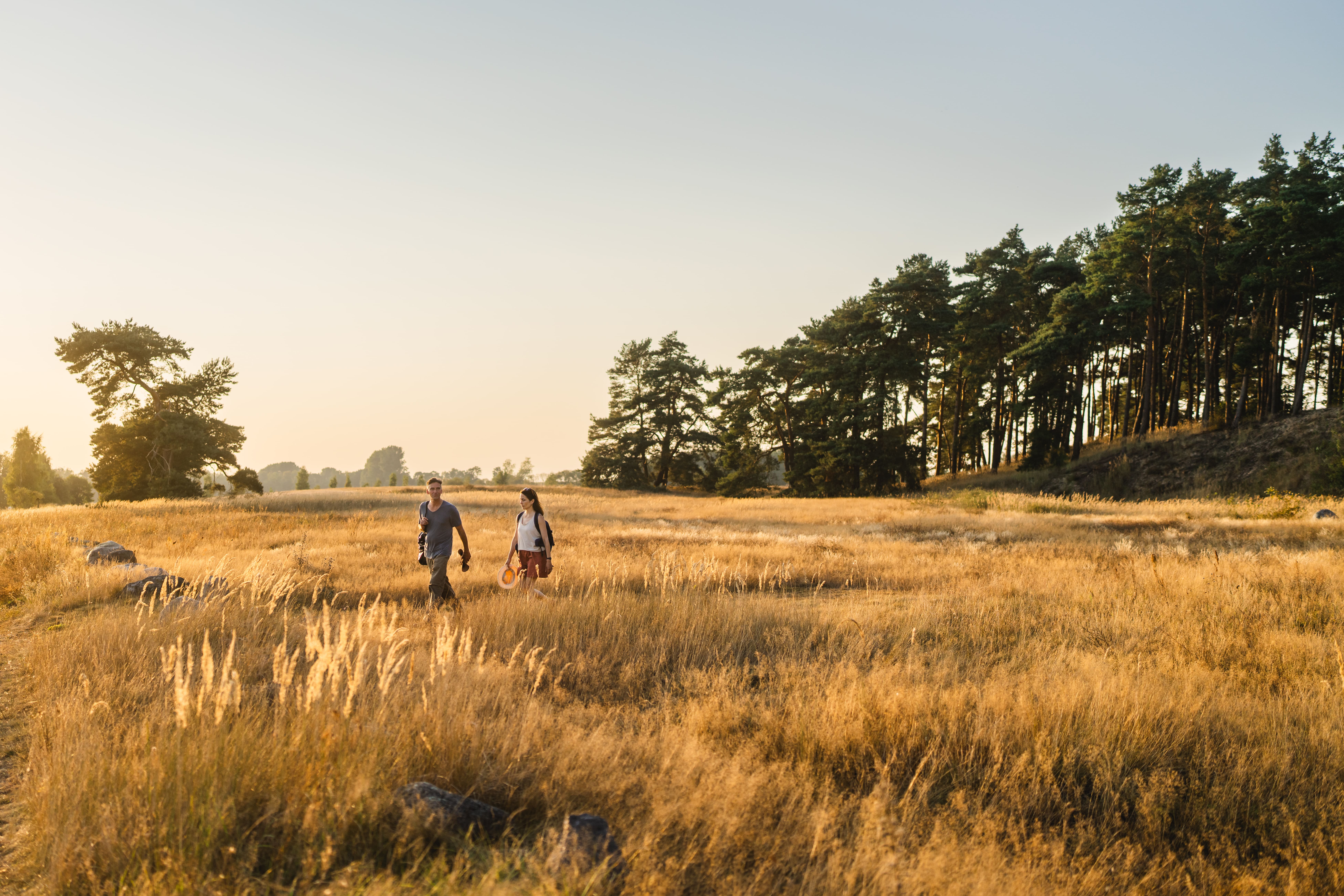 Wandern durchs Feld bei Menzlin zum Sonnenuntergang im Peenetal