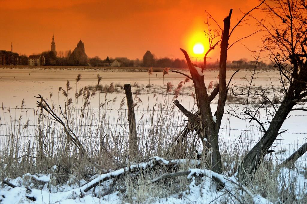 Wiesen bei Greifswald